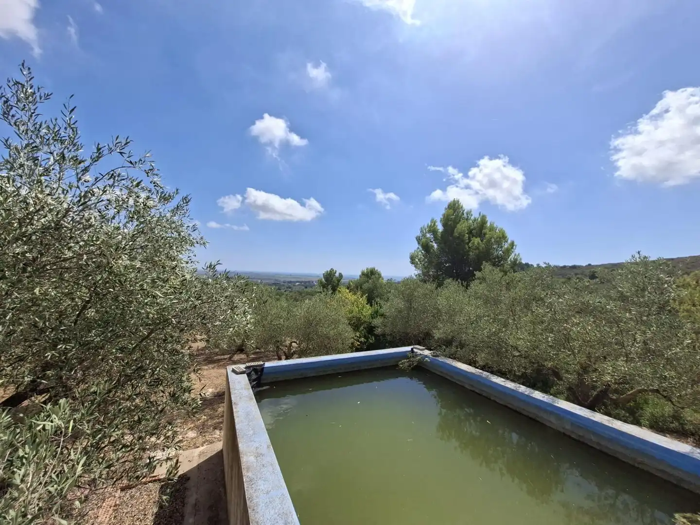 Terreno rustico in vendita a Partida del Mas d'en Civill, imagen 33