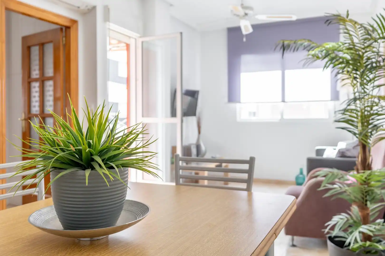Apartamento con piscina en venta en Calle HUERTO, imagen 3