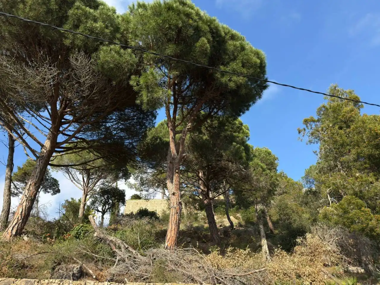 Terreno residencial en venta en Calle Font dels Capellans 40, imagen 3
