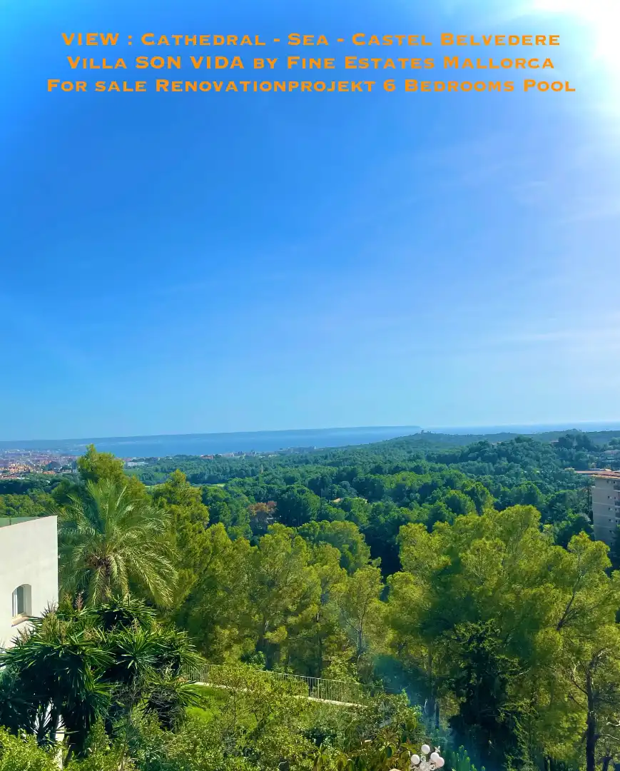 Vista exterior de Casa o xalet en venda en  Palma de Mallorca amb Jardí privat, Terrassa i Piscina