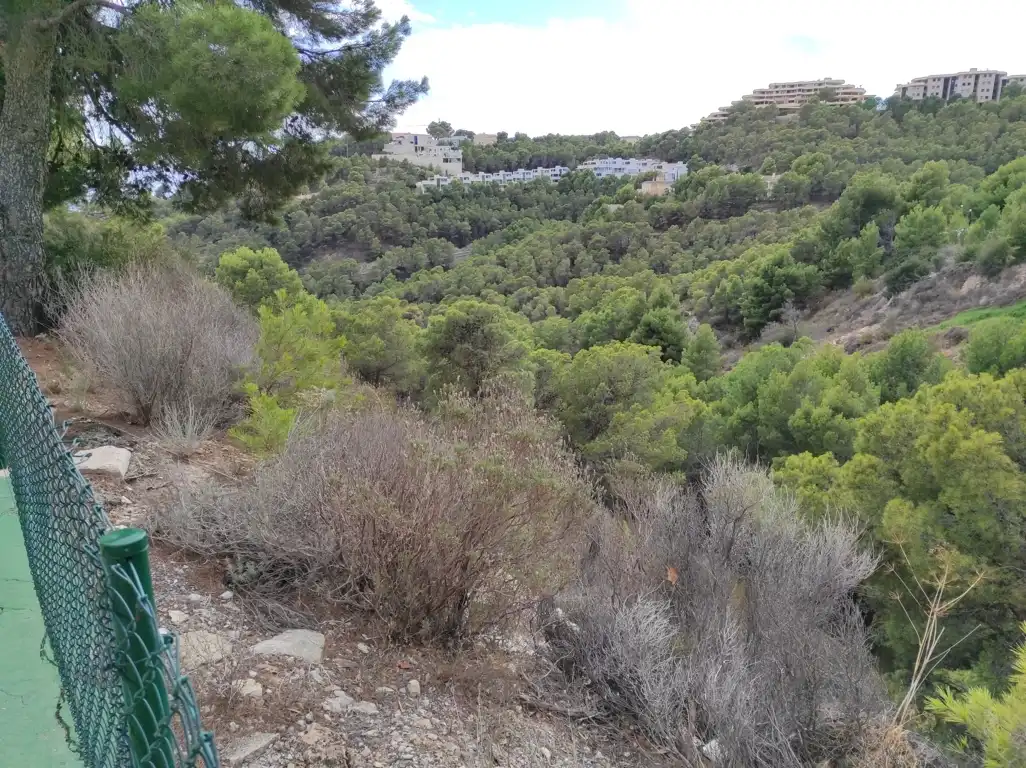 Residential land for sale in Calle Principal de la Serra, imagen 9
