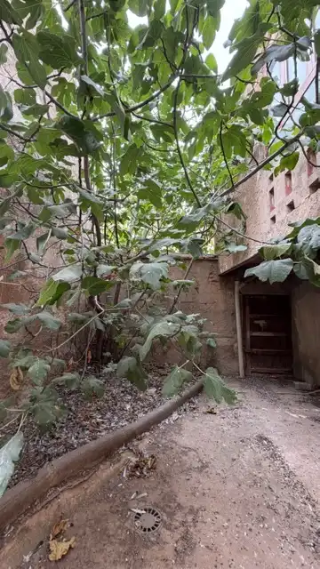 Jardí de Finca rústica en venda en Calatorao, Zaragoza
