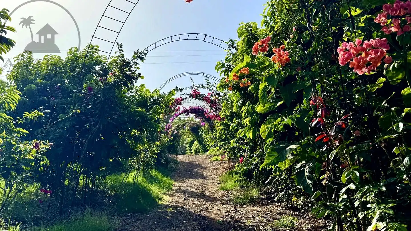 Jardí de Finca rústica en venda en Buenavista del Norte amb Jardí privat i Terrassa