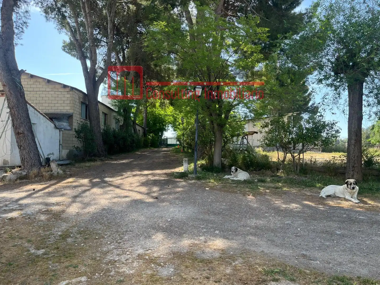 Terreny rústic en venda a Polígono Polígono 4 Paraje 396 VALDEZARZA, imagen 15