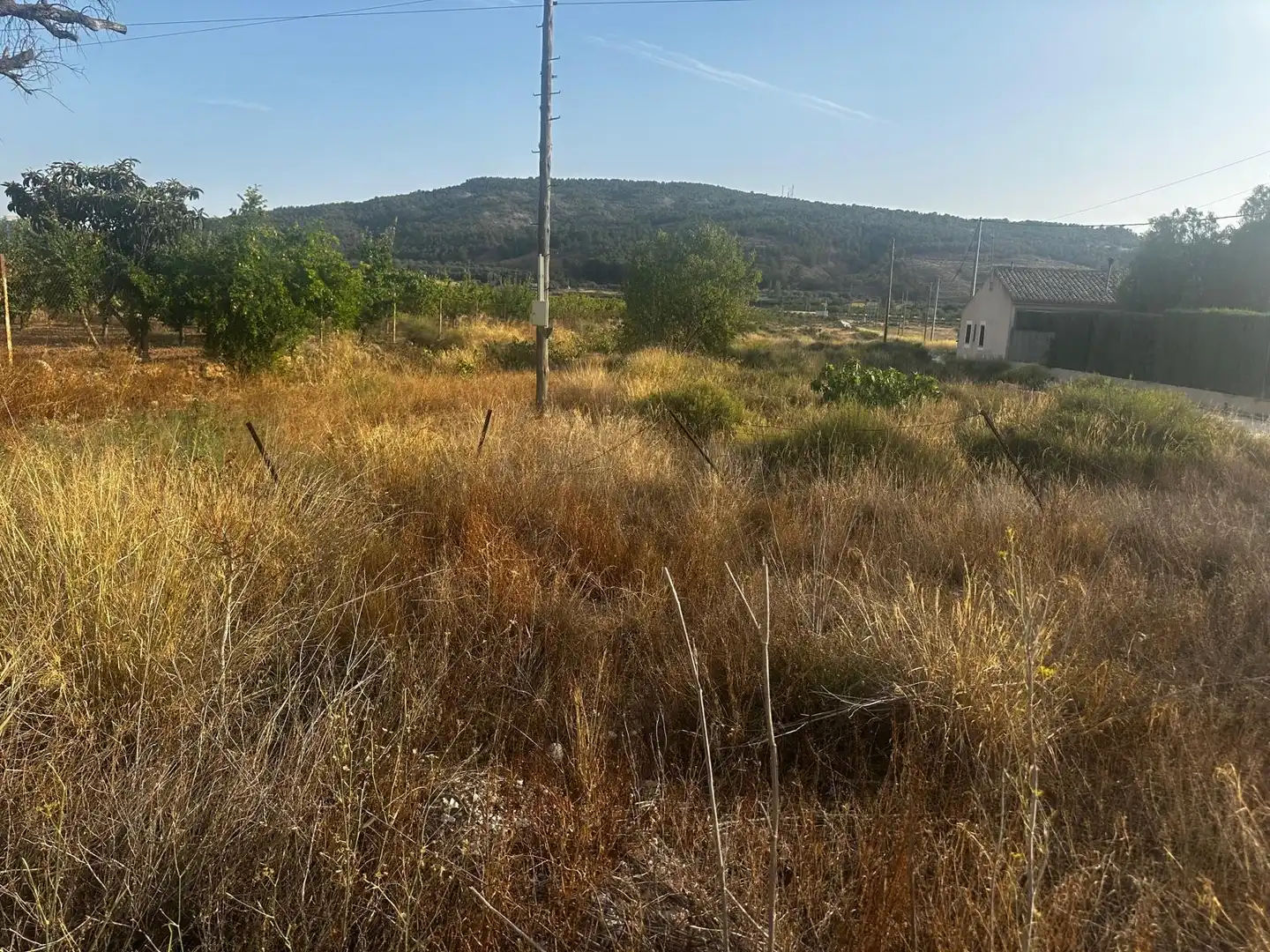 Wohnbaugrundstück zum Verkauf in El Pinós / Pinoso, imagen 8