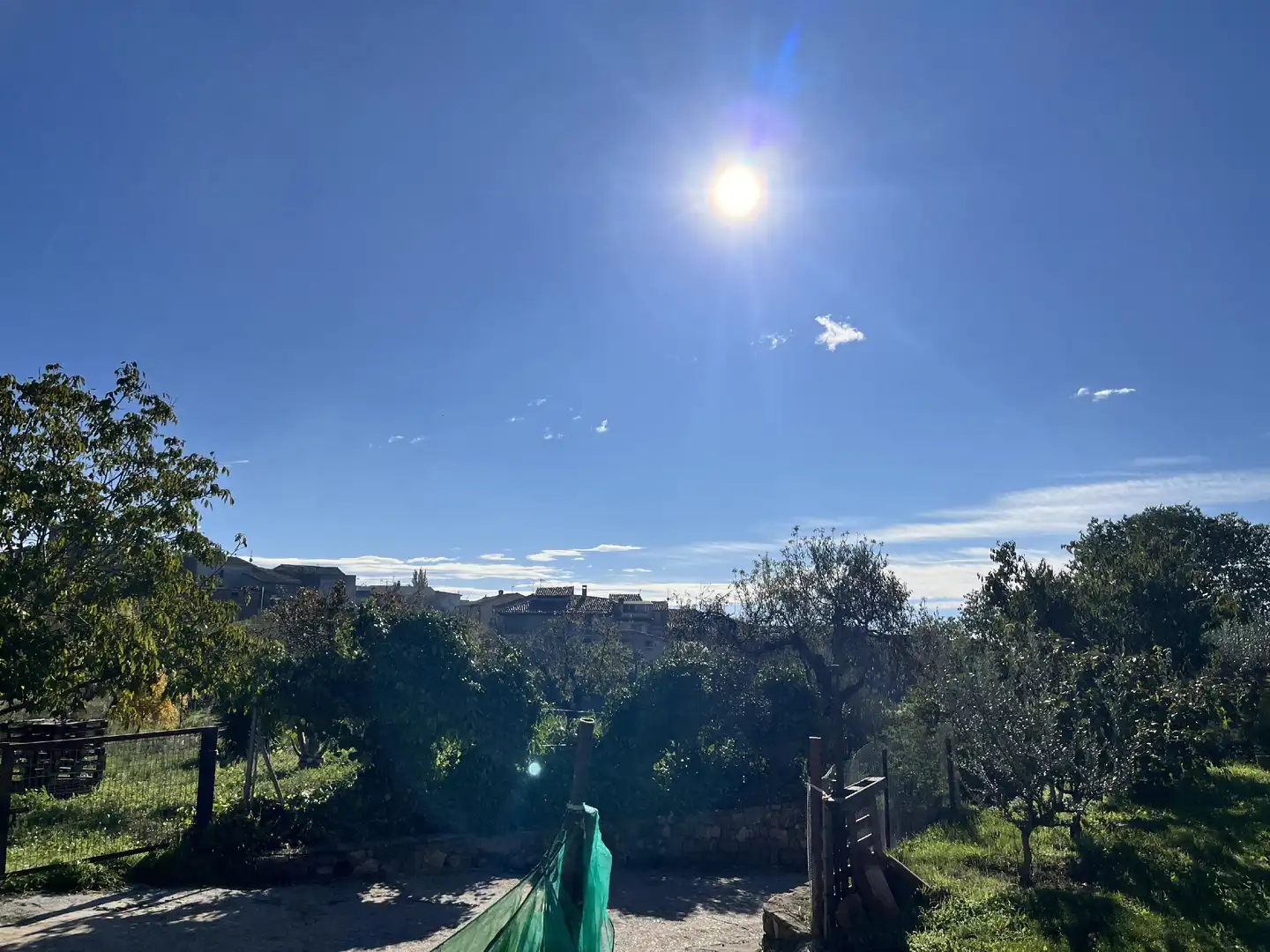Jardín de Finca rústica en venta en Alquézar con Jardín privado