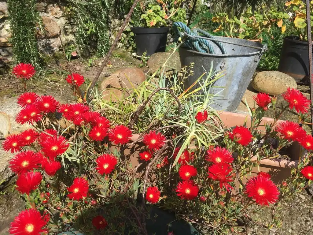 Garden of Houses for sale in Navia  with Private garden and Storage room