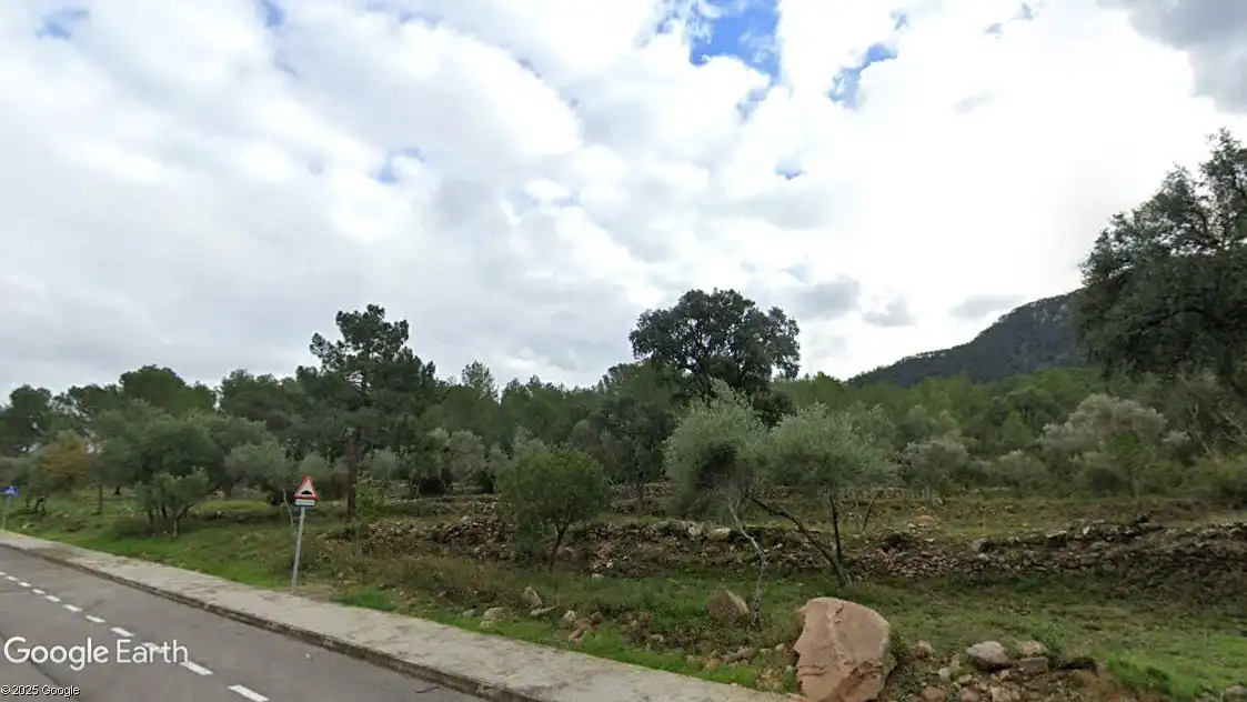 Terreno rústico en venta en Artana, imagen 2