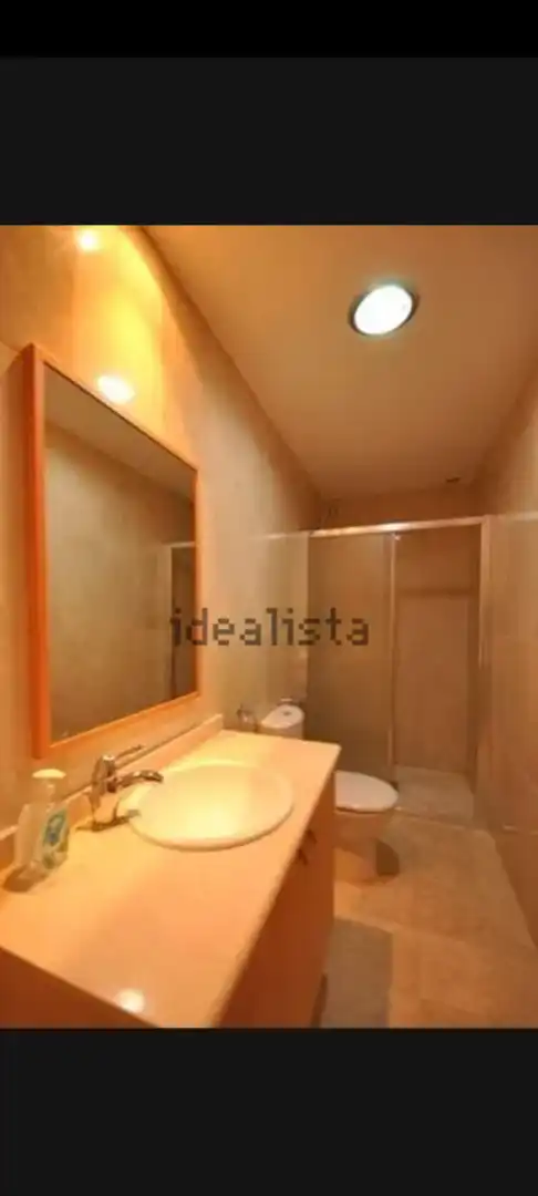 Badezimmer von Wohnung zur Miete in Málaga mit Möbliert