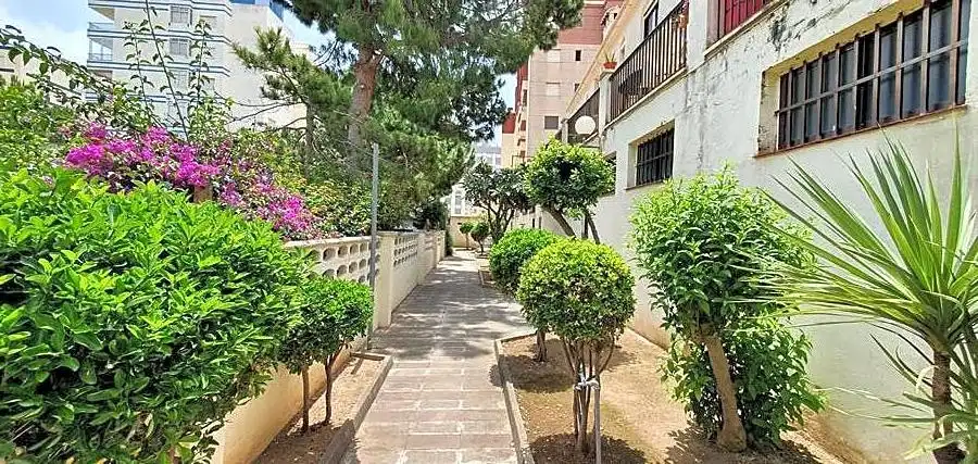 Apartments for rent in Clot De La Mota, 12, Playa de Gandia