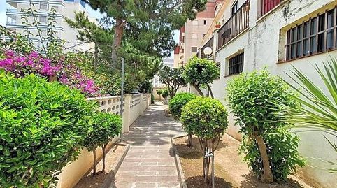 Foto 2 von Wohnungen zur Miete in Clot de la Mota, 12, Playa de Gandia, Gandia