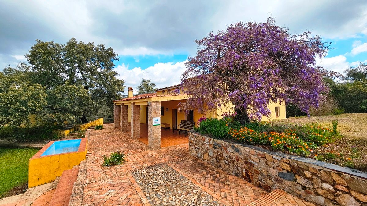 Vista exterior de Finca rústica en venda en Cortegana amb Jardí privat, Terrassa i Piscina