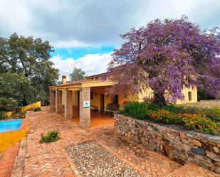 Exterior view of Country house for sale in Cortegana  with Private garden, Terrace and Swimming Pool