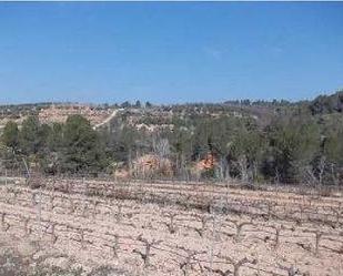 Land for sale in Els Guiamets