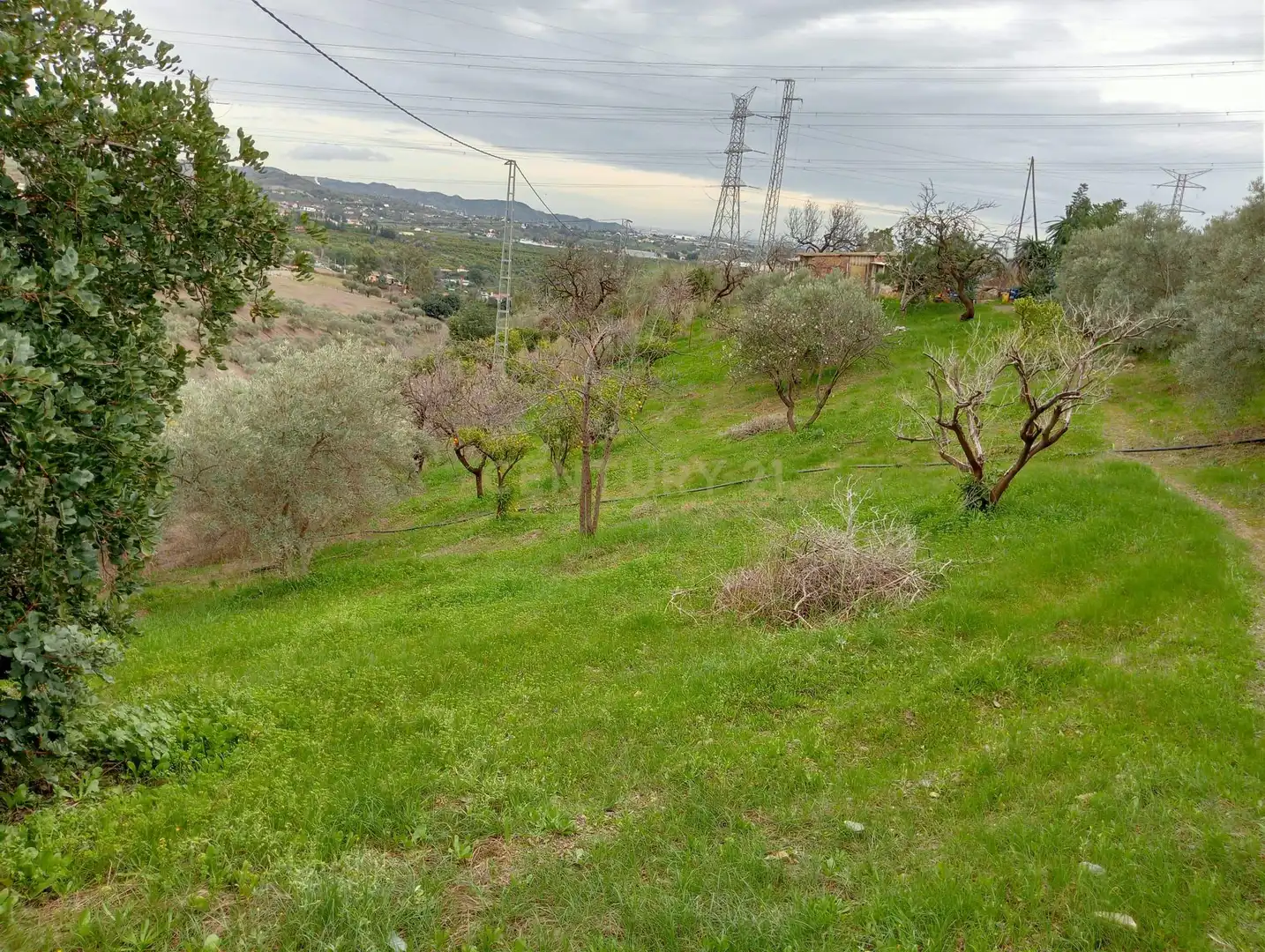 Casa o xalet en venda en Cártama amb Jardí privat, Traster i Piscina