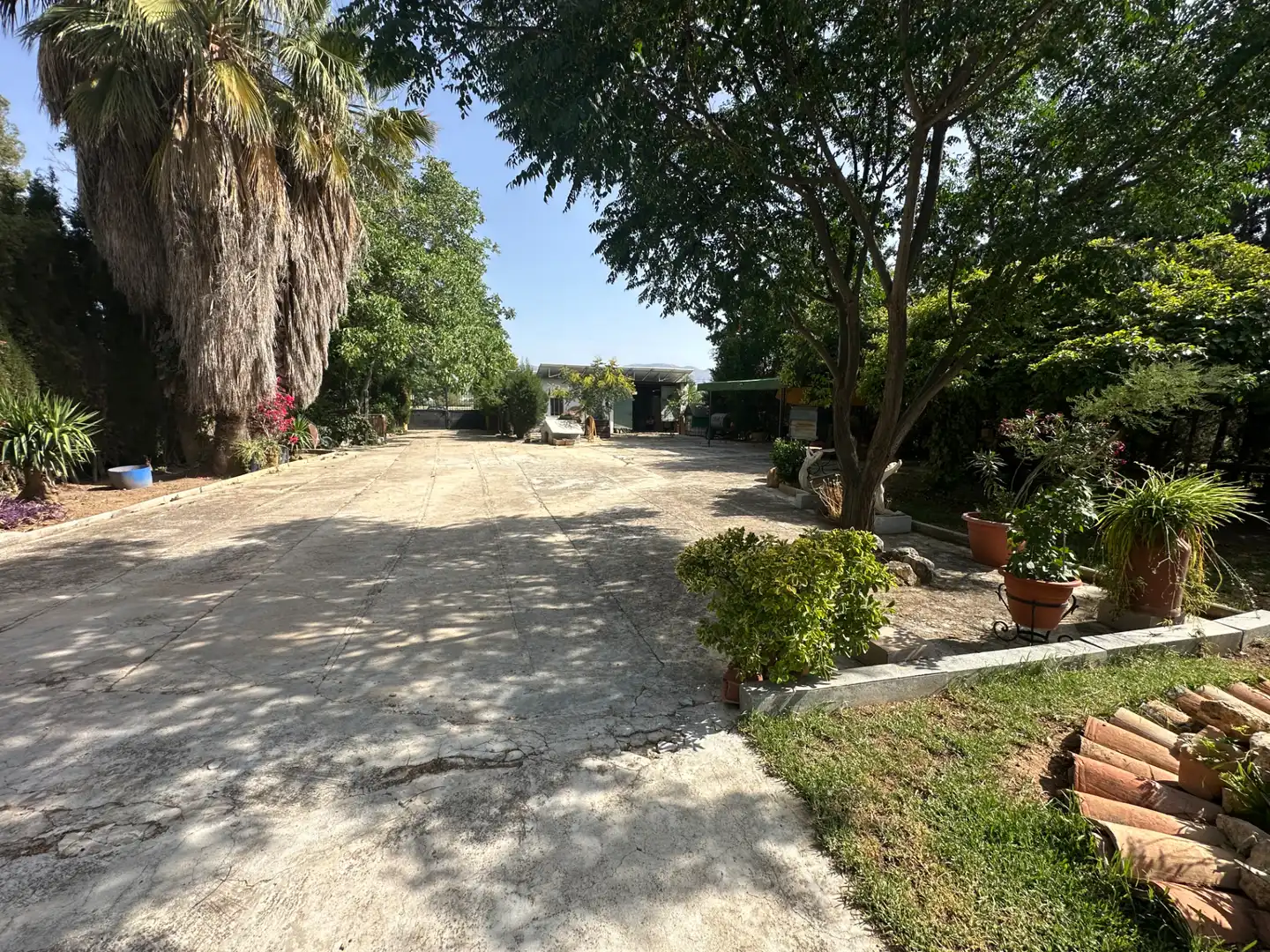 Lands and plots for sale in Centro, imagen 16