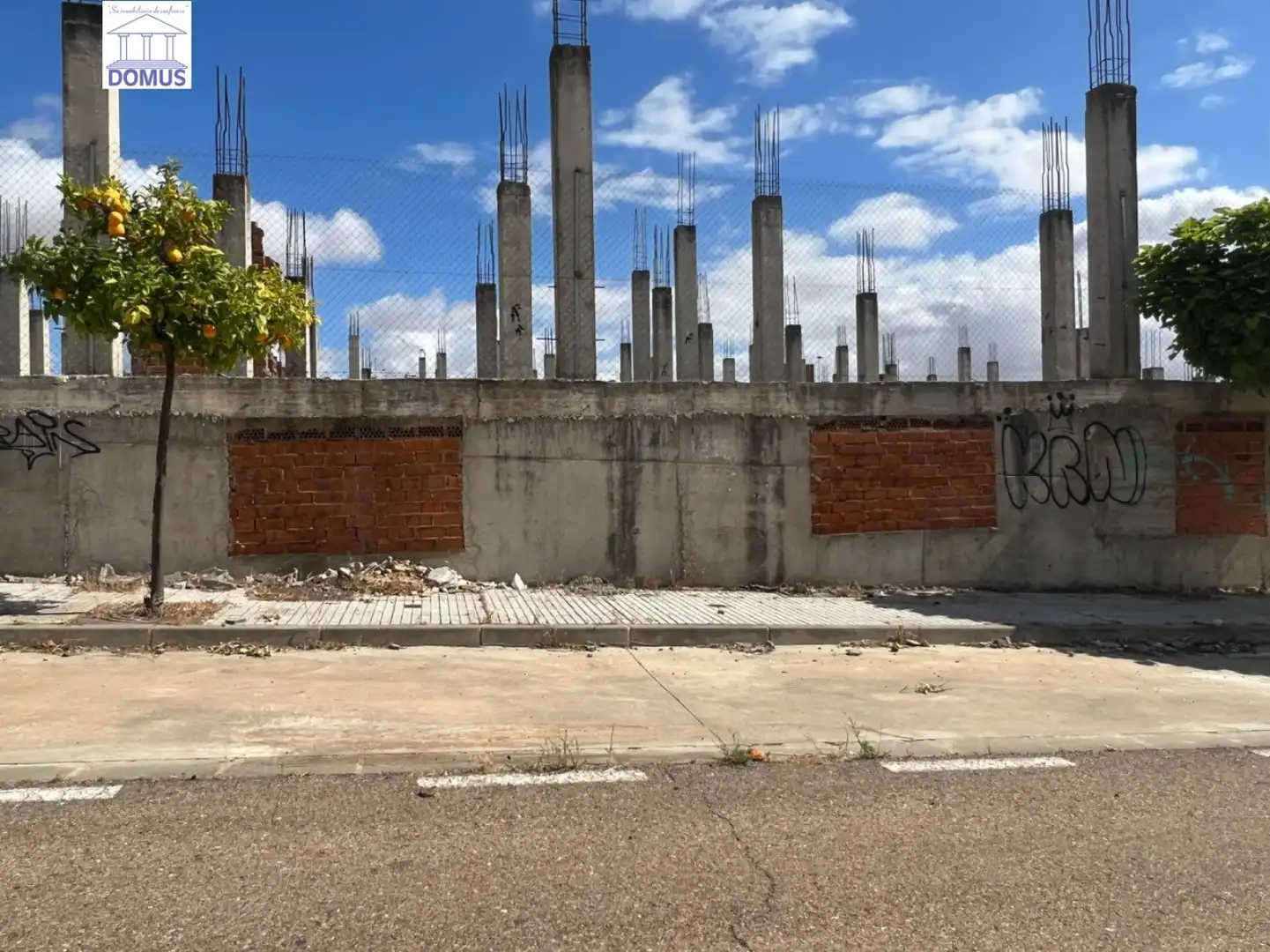 Terreni e lotti in vendita a Norte, imagen 14