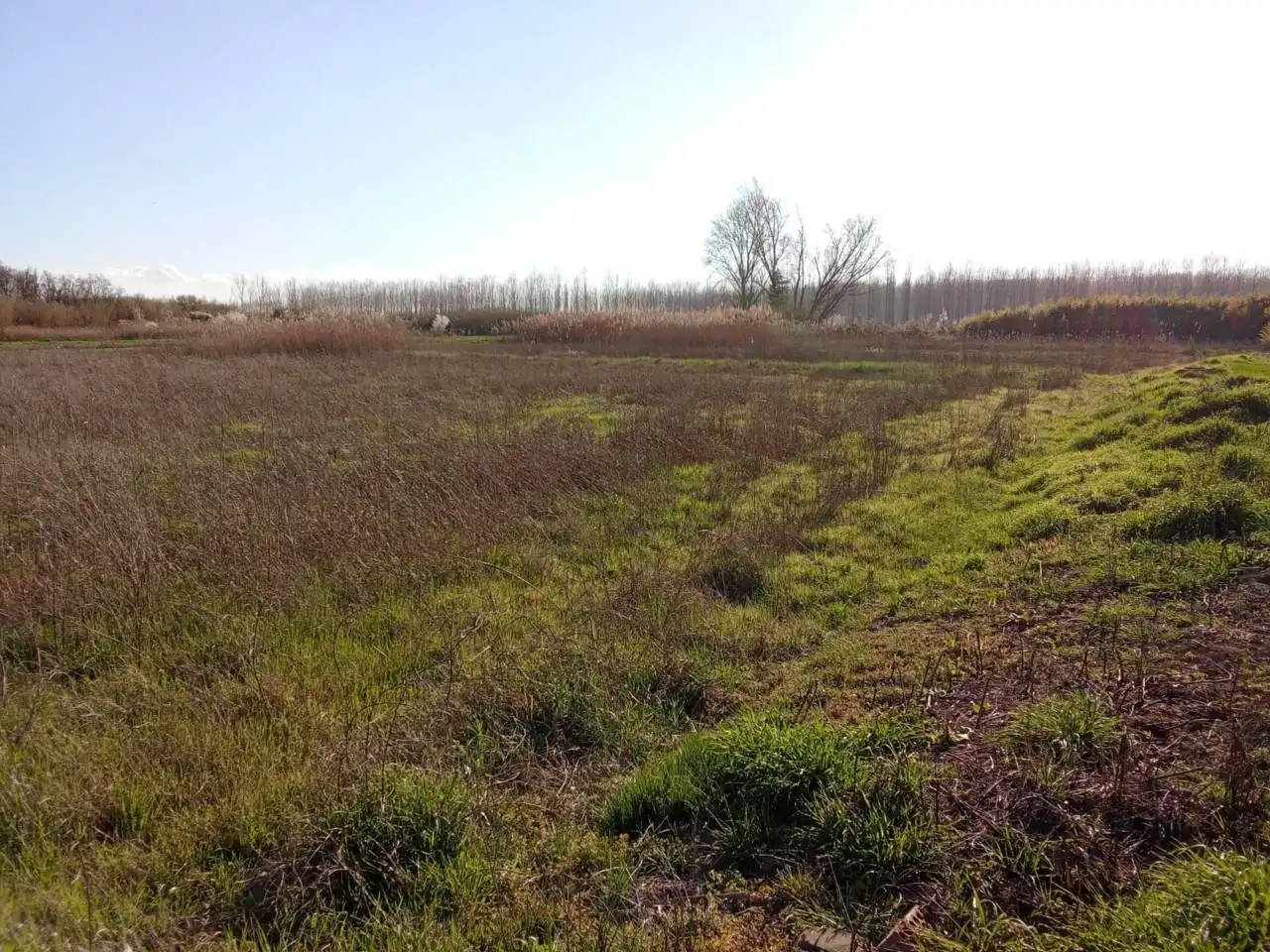 Terreni e lotti in vendita a Pueyo de Santa Cruz