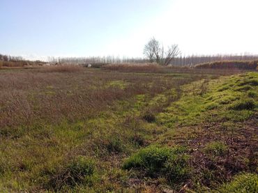 Rural land for sale in Pueyo de Santa Cruz