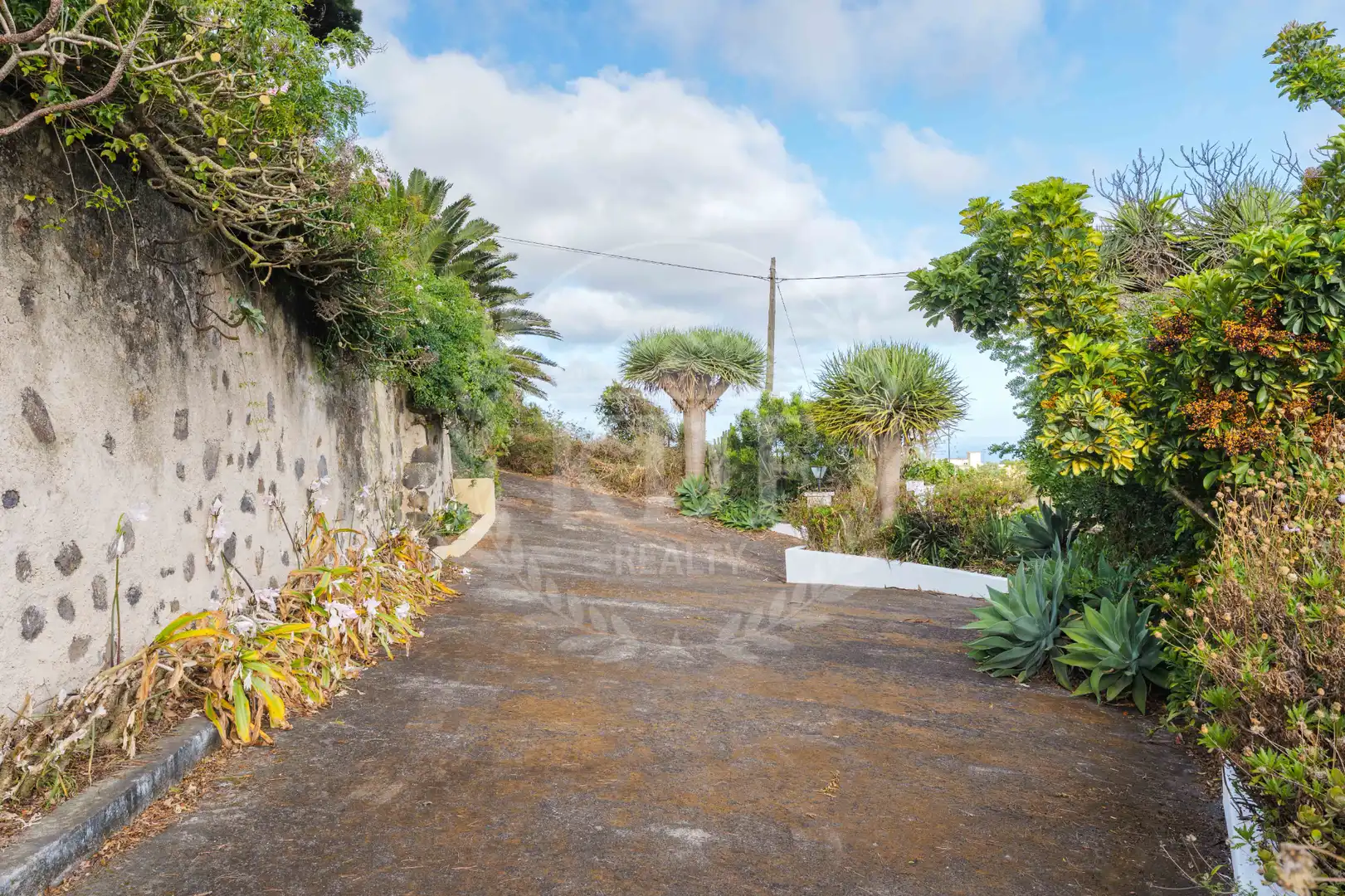 Chalet con terraza en venta en Diseminado Carretera Gral, imagen 46