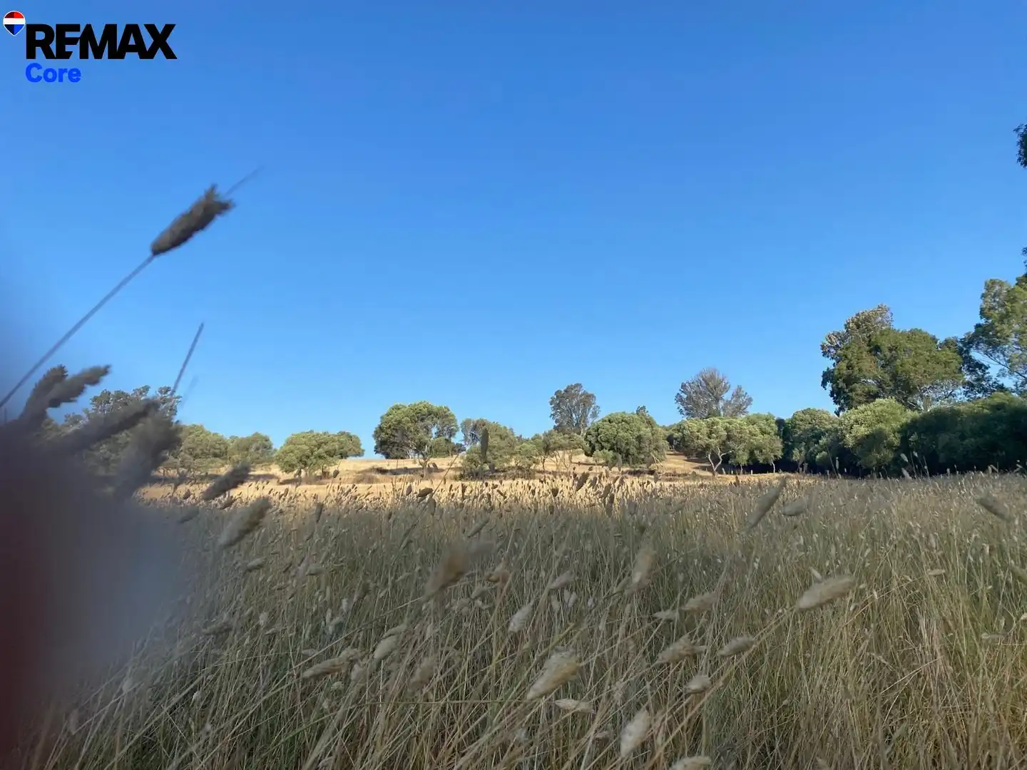 Terreny rústic en venda a Medina Sidonia, imagen 3