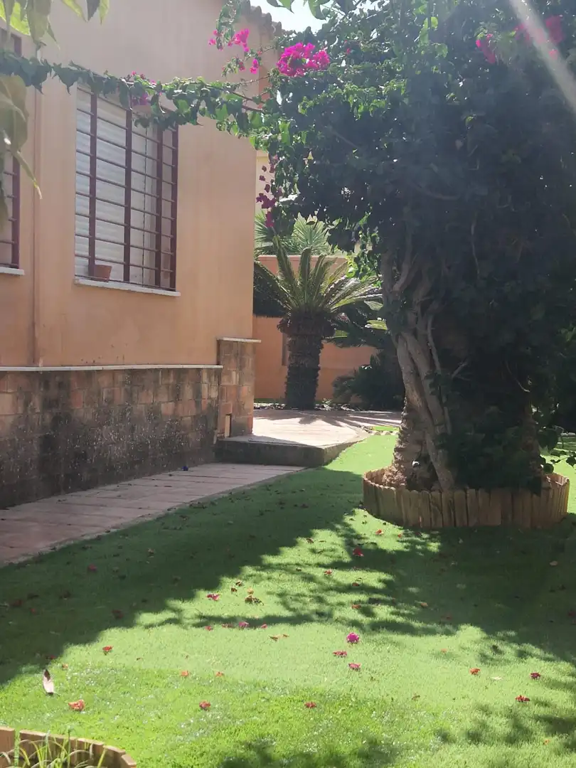 Xalet amb jardí en venda a El Juncal - Vallealto, imagen 9