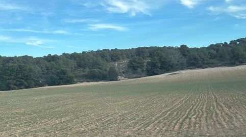 Finca rustica de 538 hectareas en la provincia de Albacete