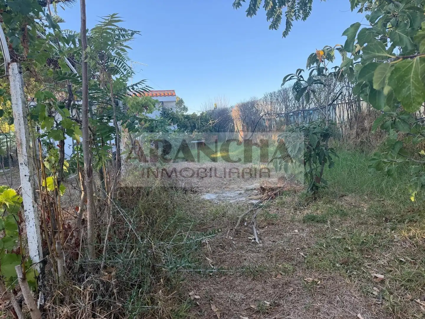 Terreno rustico in vendita a Las Tres Piedras - Costa Ballena, imagen 9