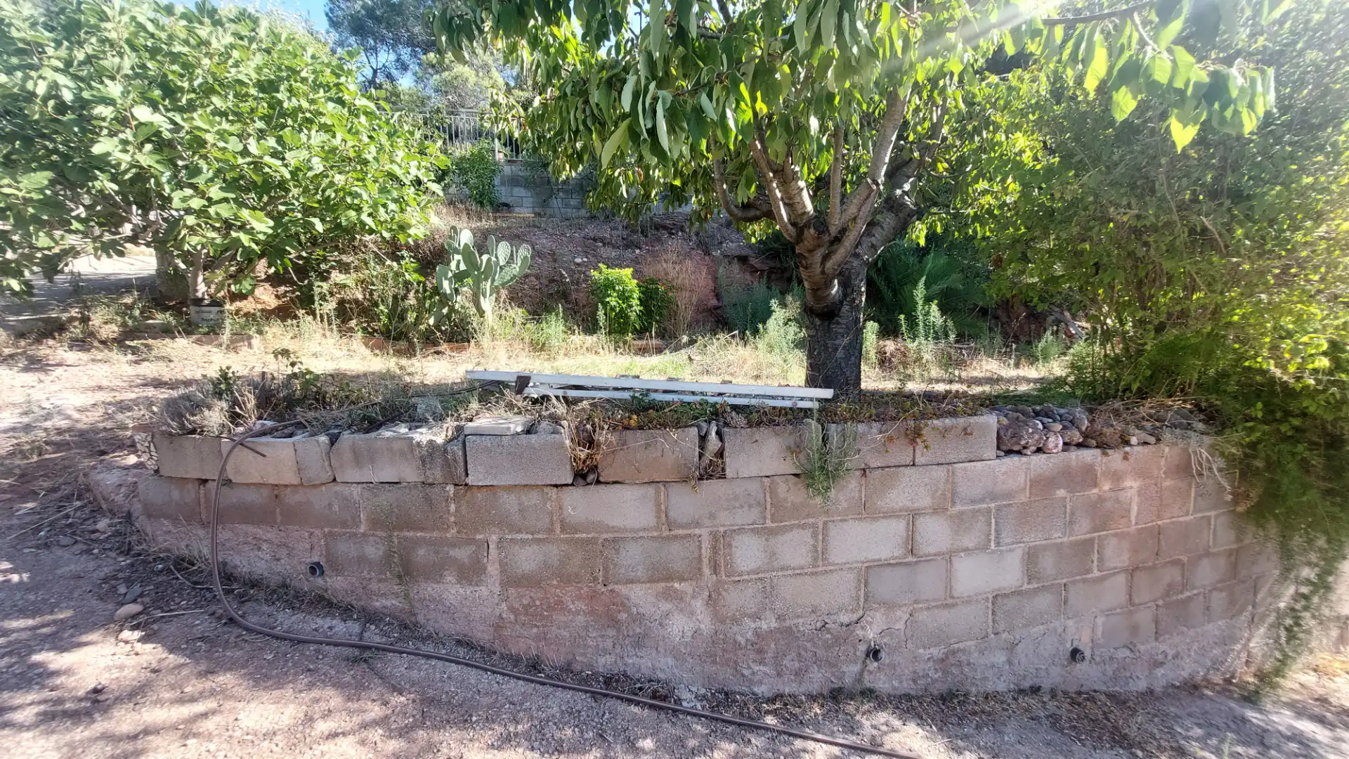 Detached house with garden for sale in Carrer Mont Perdut, imagen 28