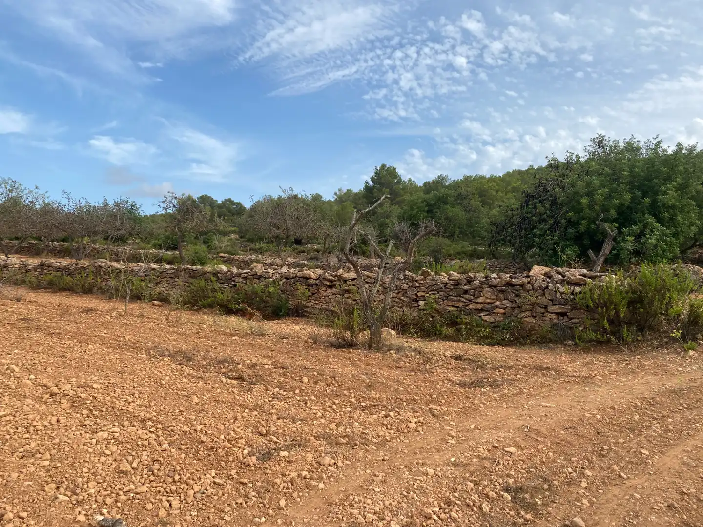 Terrain rustique à vendre à Carrer Camí de Montferri, imagen 10
