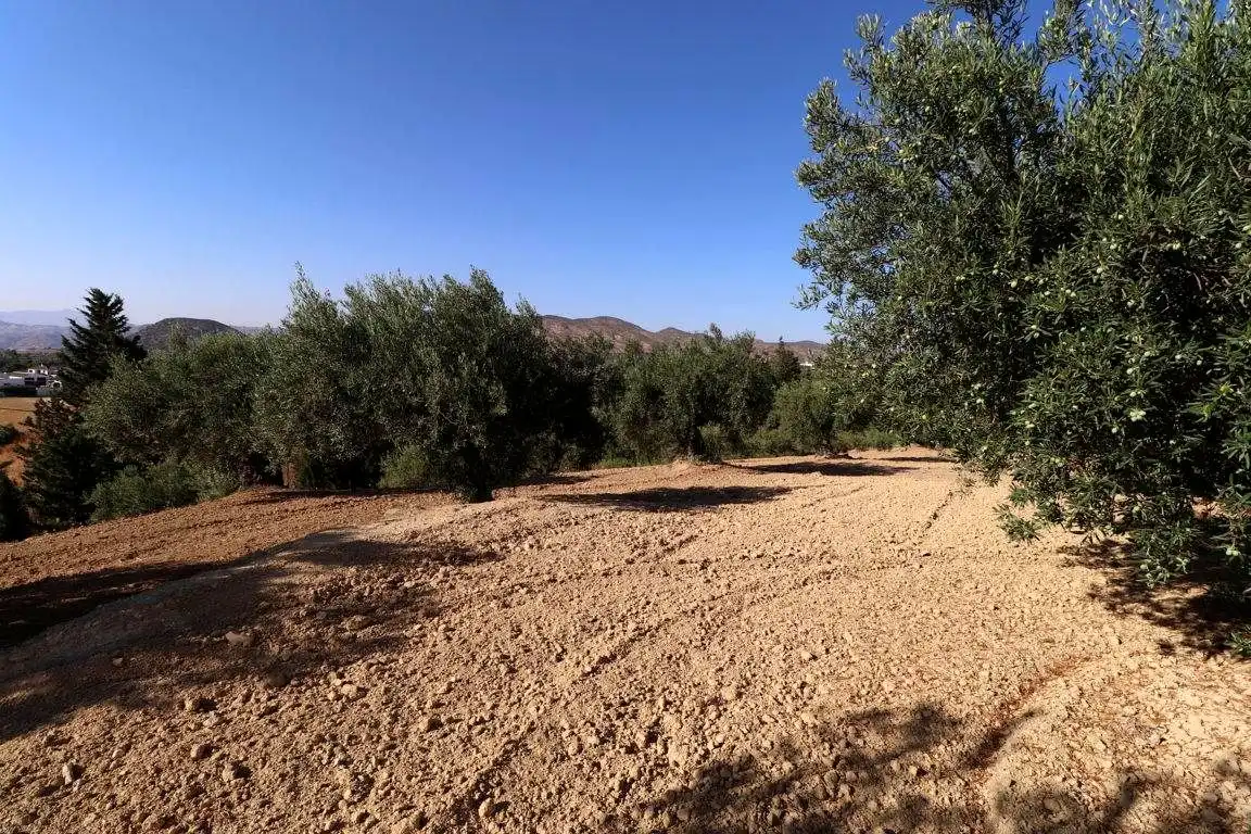 Finca rústica en venta en Alhaurín El Grande