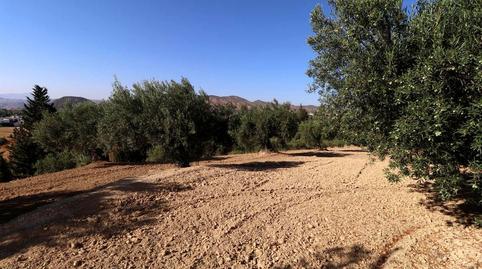 Foto 5 de Finca rústica en venda a El Platero, Centro, Málaga