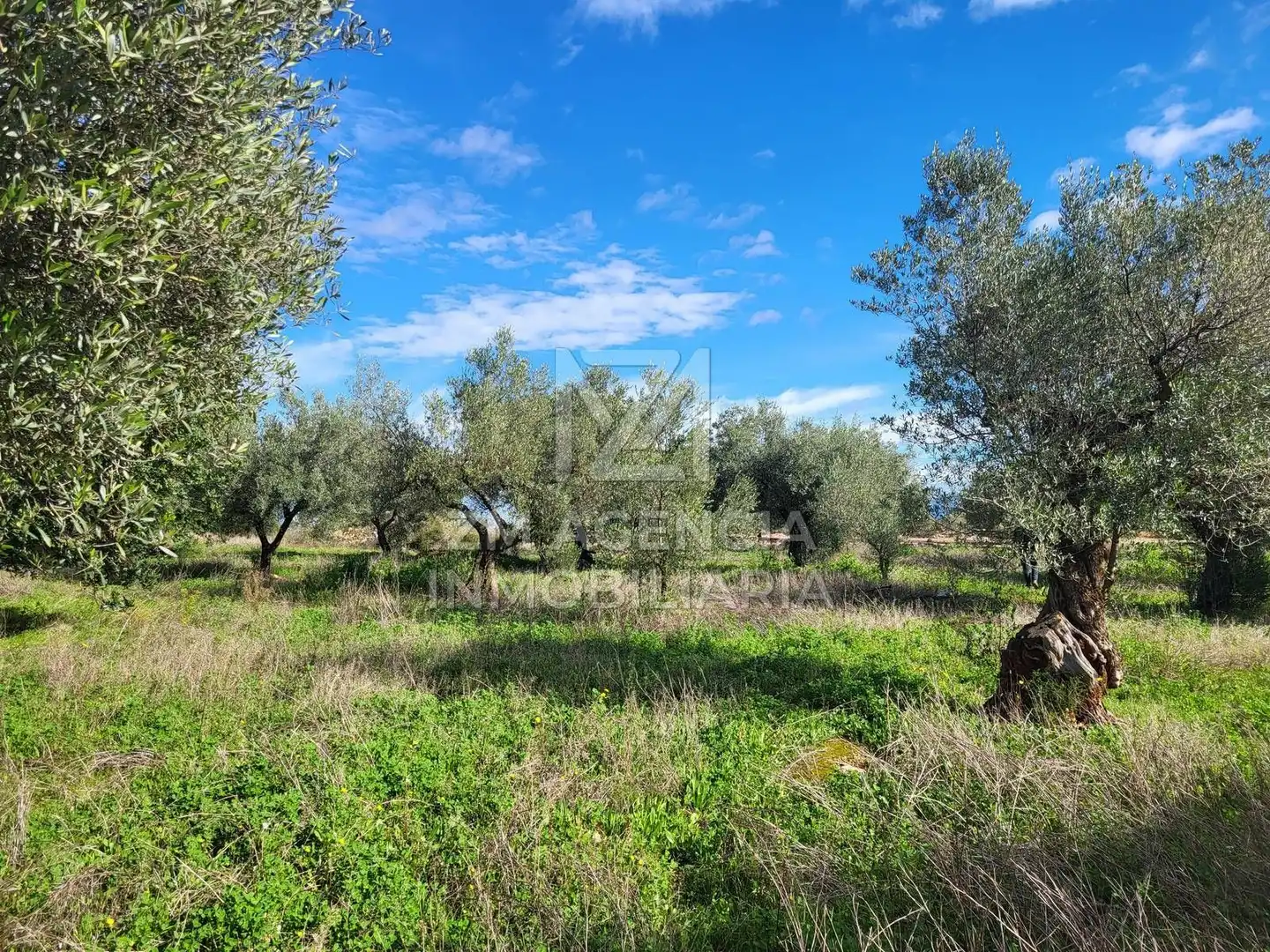 Rural land for sale in Vilarets, imagen 5