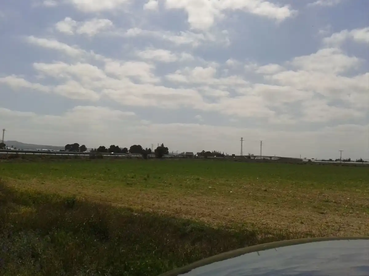 Terreni e lotti in vendita a Alhama de Murcia ciudad, imagen 12