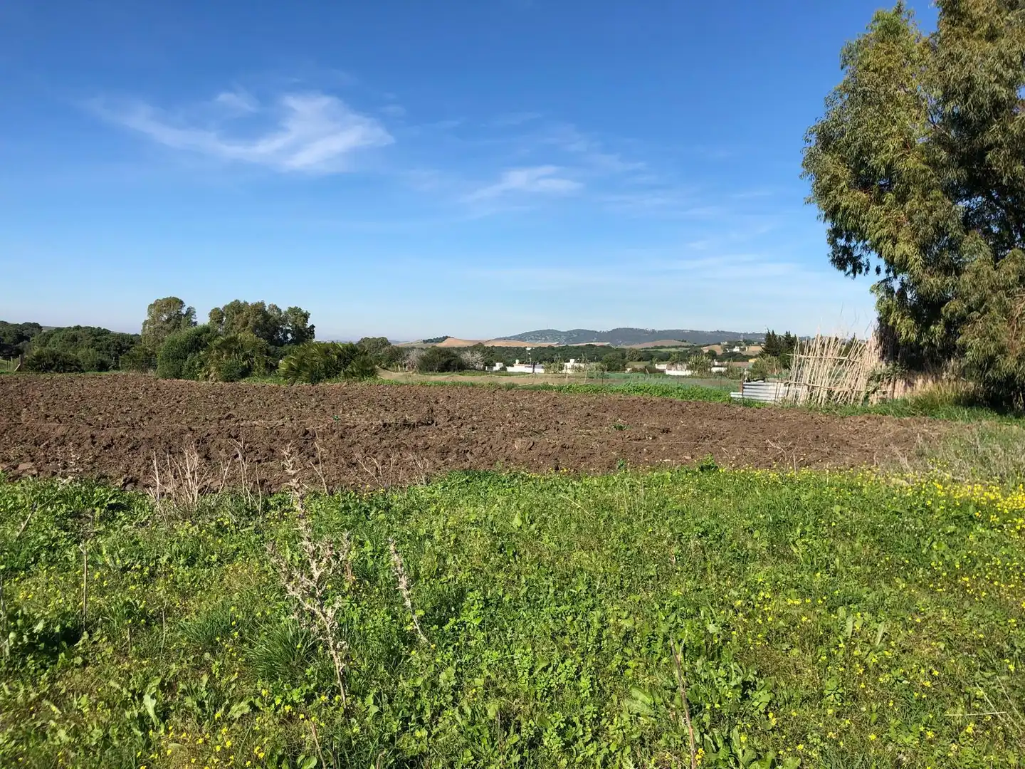Country house for sale in Vejer, imagen 8