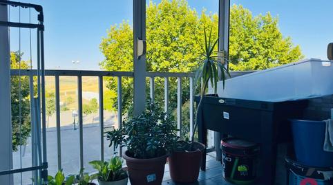 Foto 4 de Pis en venda a Campo de la Verdad - Miraflores, Córdoba