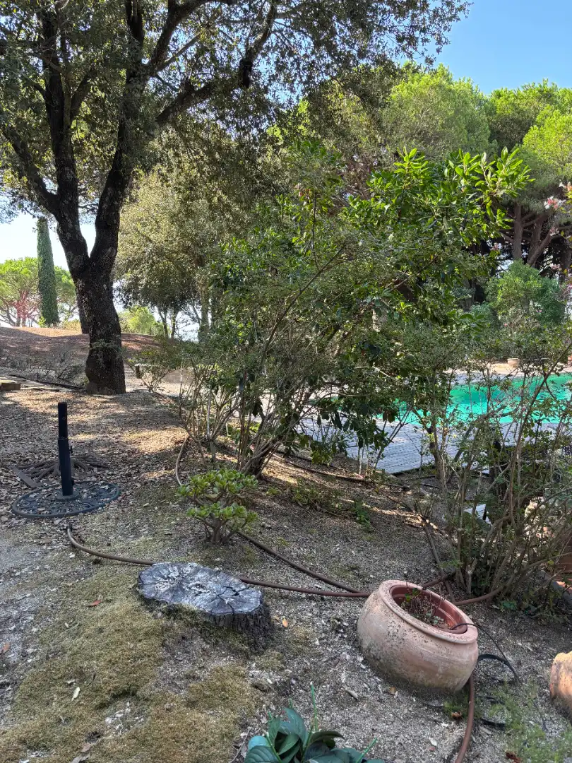 Villa con piscina in vendita a Passeig Plana, imagen 11