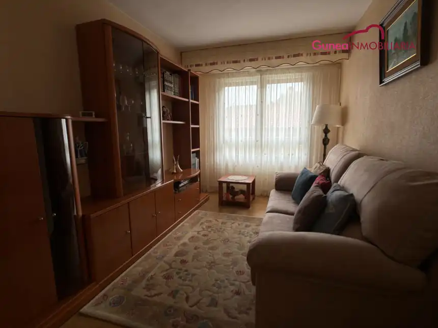 Sala de estar de Piso en venta en Hernani