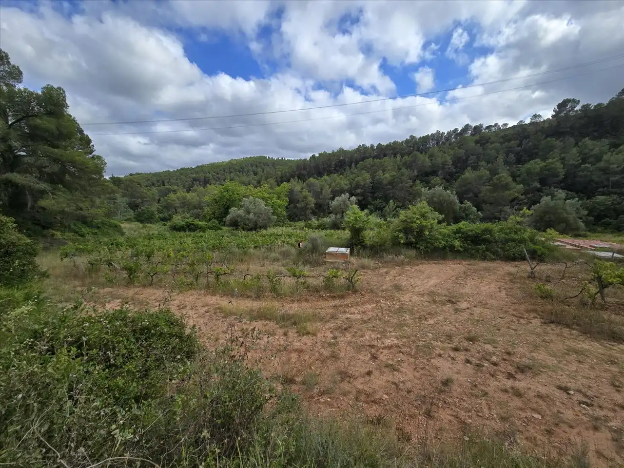 Terreny residencial en venda a Plana de Cal Cendra, imagen 14