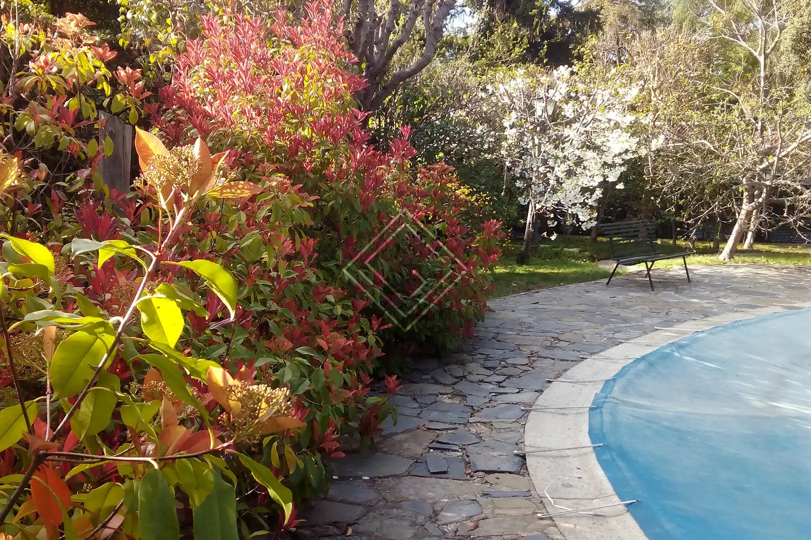 Piscina de Casa o chalet en venta en Madrid con Calefacción, Jardín privado y Terraza