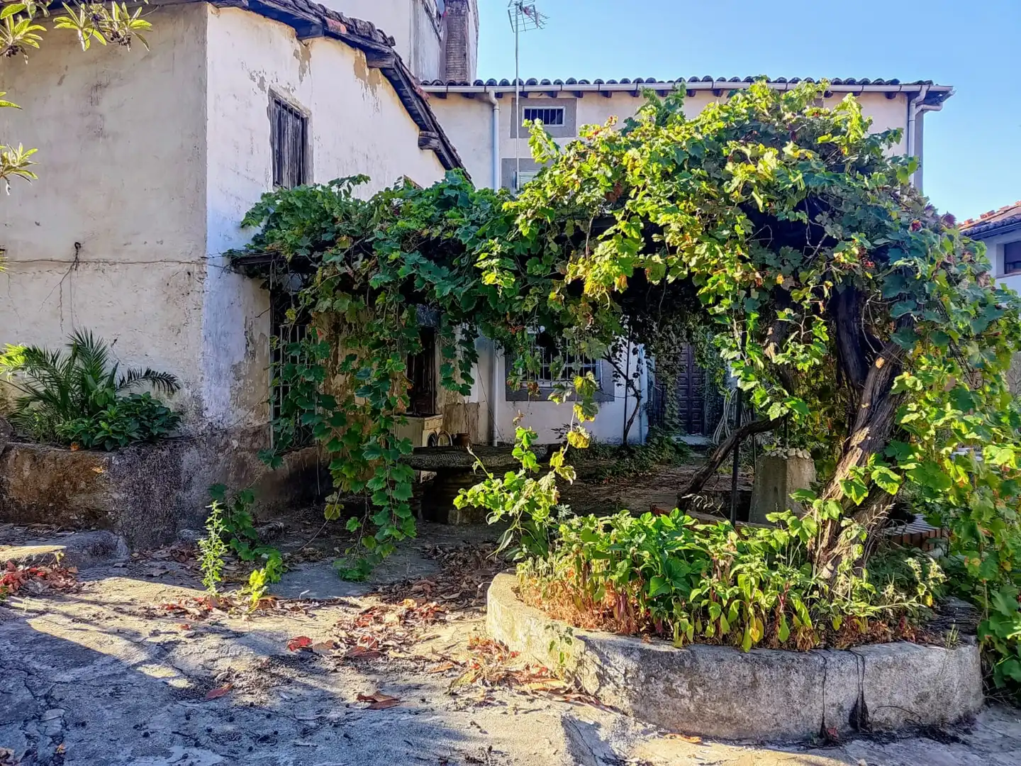Jardí de Casa o xalet en venda en Jarandilla de la Vera amb Jardí privat