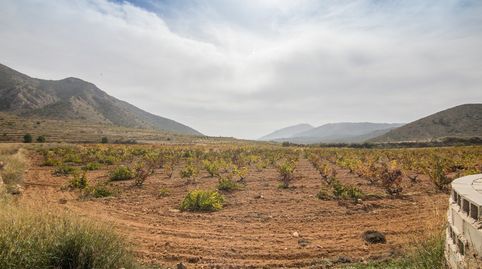 Foto 4 de Terreny en venda a Polígono 6 Parcela 379, Algueña, Alicante