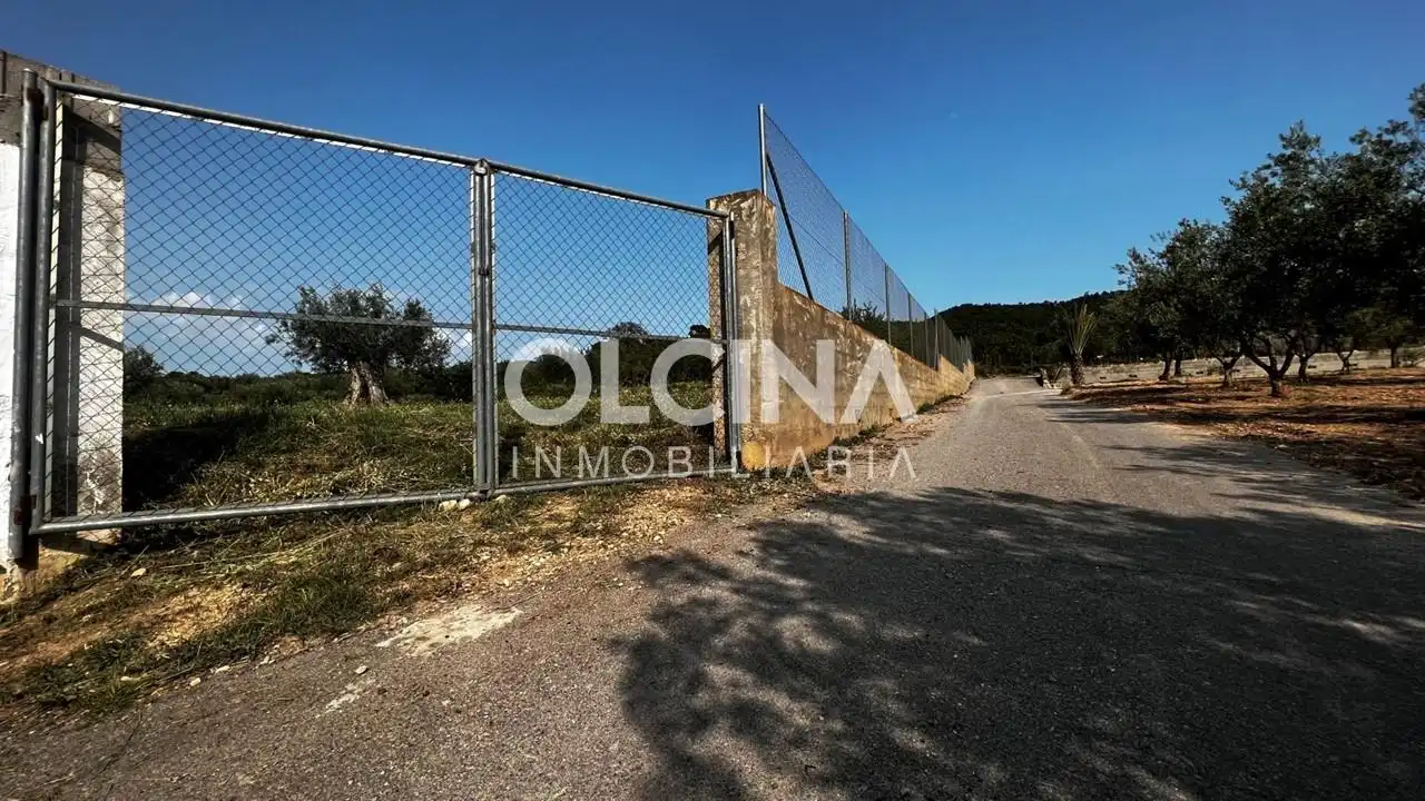 Terreno rústico en venta en Ibi, imagen 13