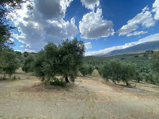 Terreno en Venta en Cambil