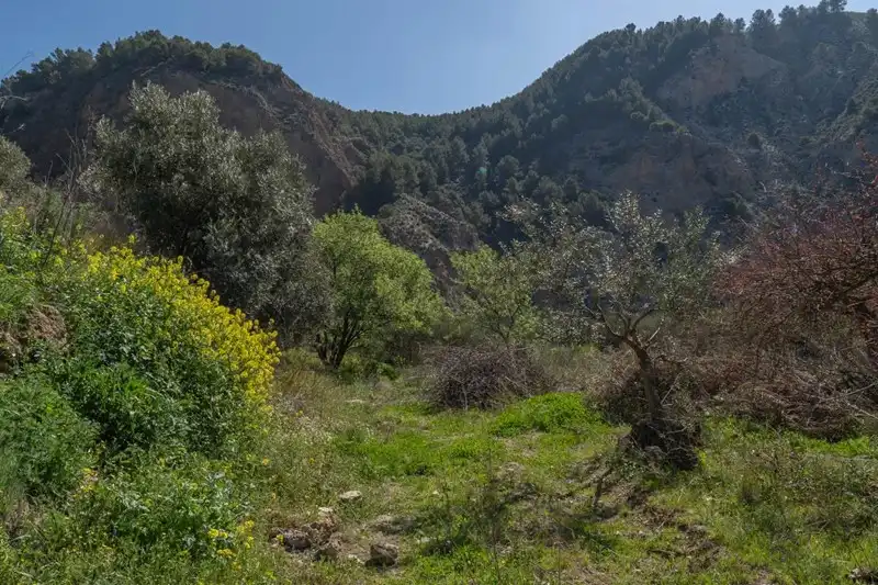 Terreni e lotti in vendita a Villamena, imagen 6
