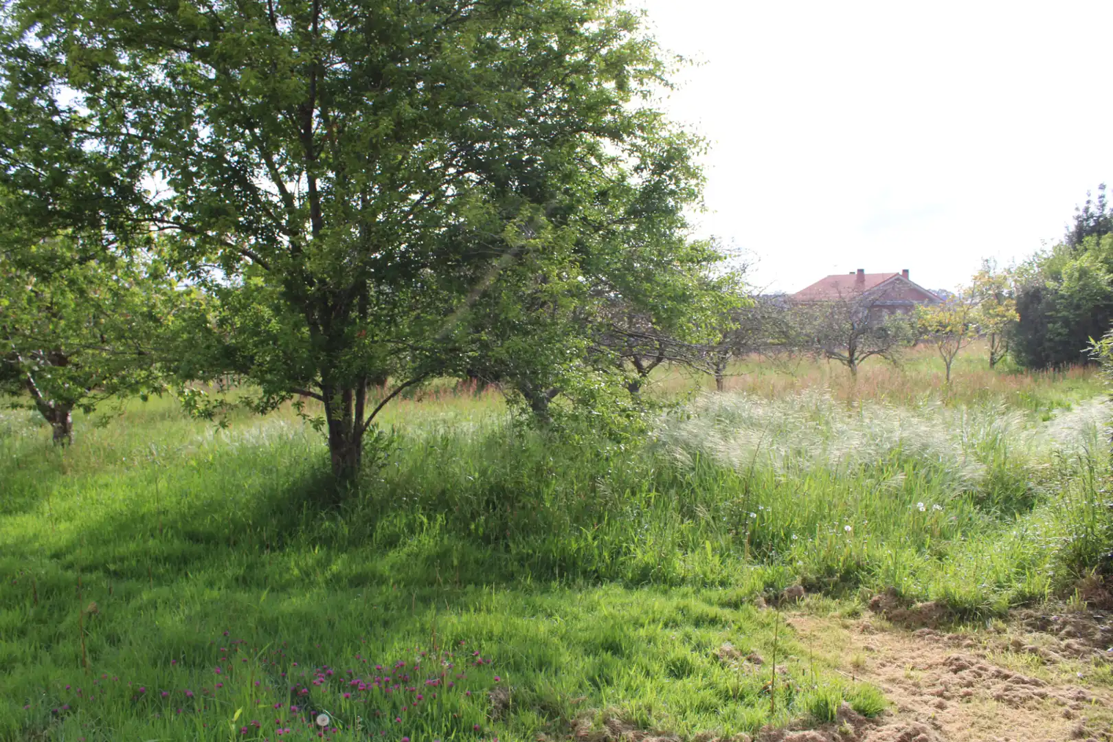 Casa o xalet en venda en Villaviciosa amb Calefacció, Jardí privat i Terrassa