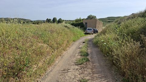 Finca de regadío de 25.868m2 + edificio de 56m2. Caspe. 46.000€
