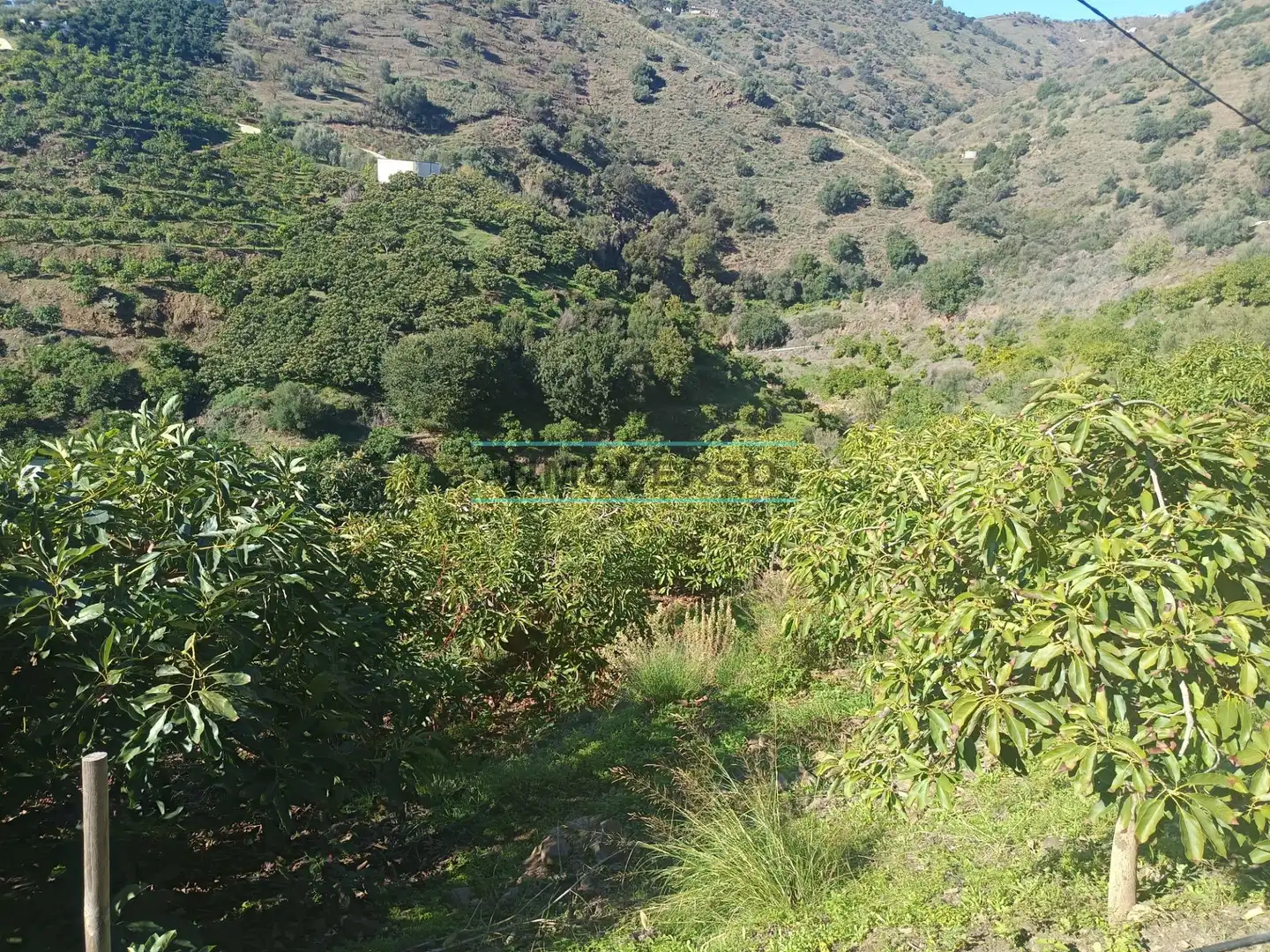 Terreny rústic en venda a Sayalonga, imagen 10