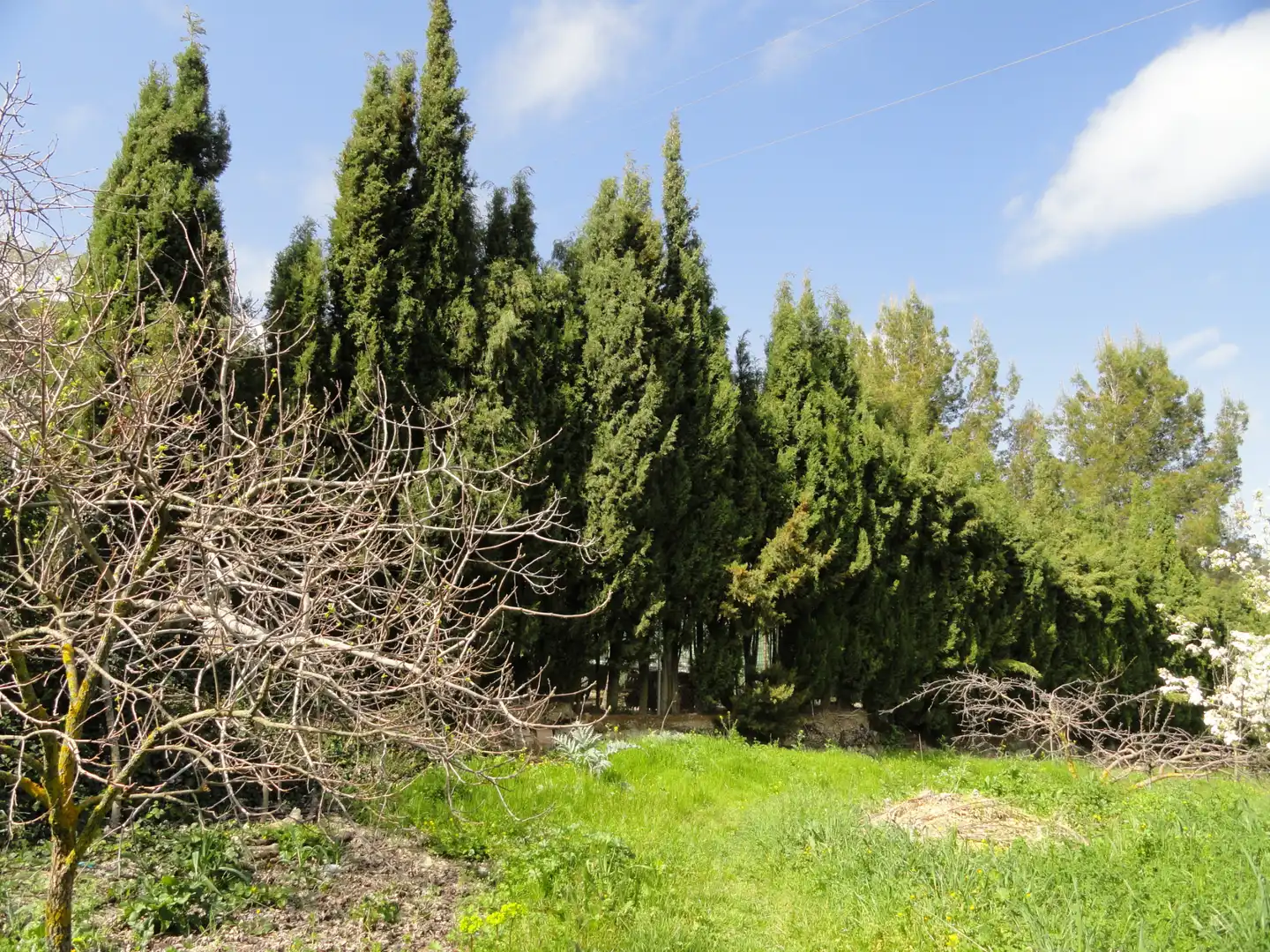 Land for sale in La Iruela