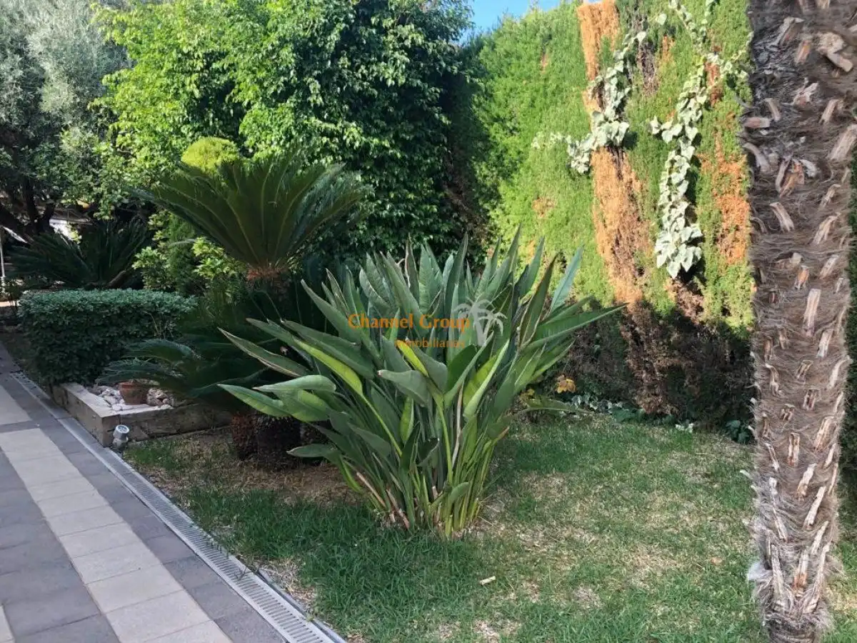 Houses for sale in Centro